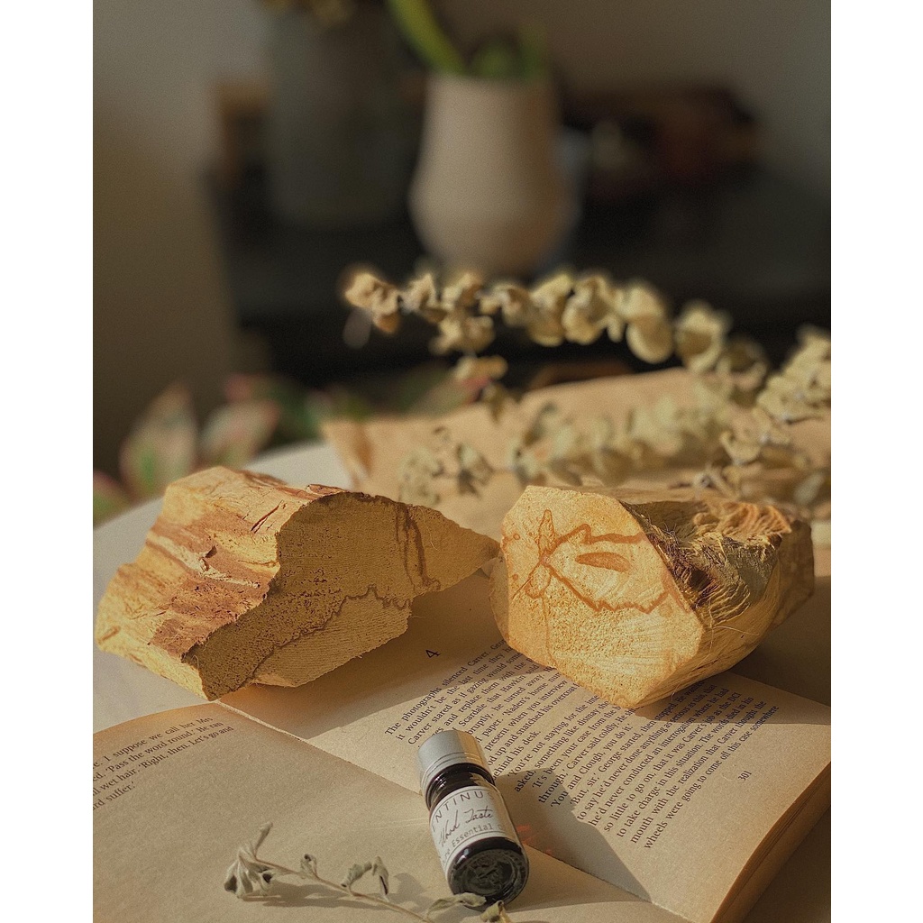 PALO SANTO -GỖ THANH TẨY NĂNG LƯỢNG