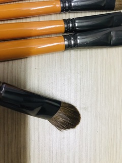 BỘ CỌ LÔNG MỀM CÁN VÀNG 12 CÂY