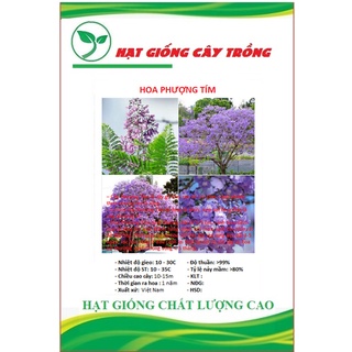 Hạt giống hoa phượng tím ct196 - gói 5 hạt