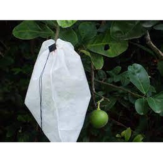 01 túi vải bọc bưởi 30*35cm