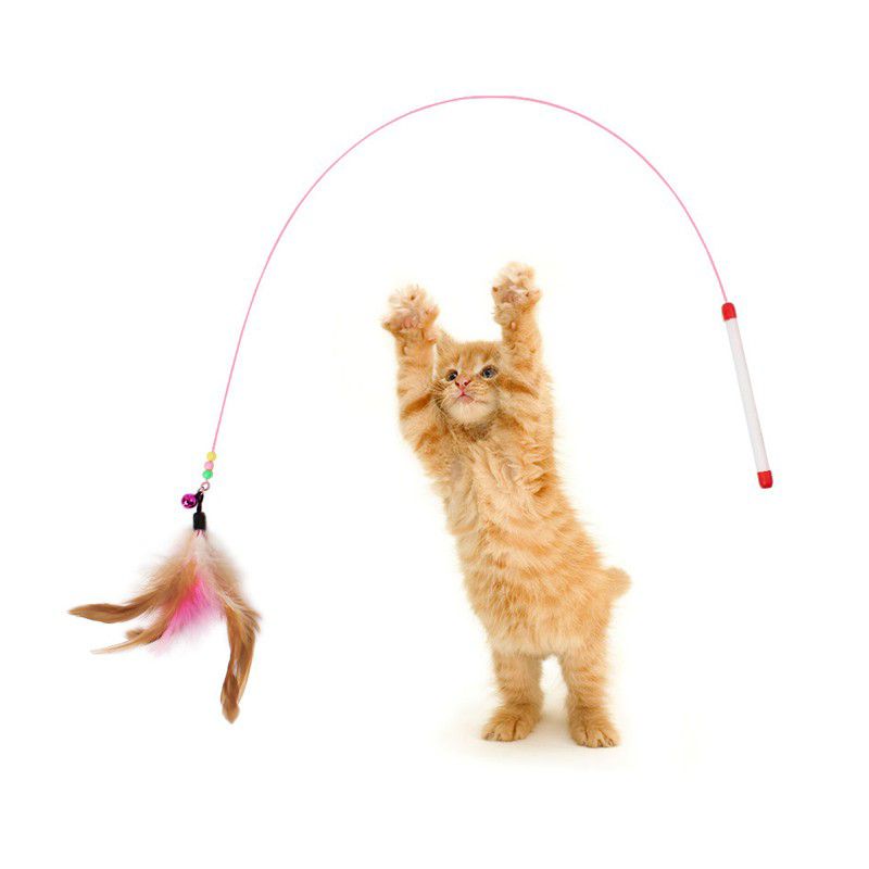 Đồ chơi cần câu gắn lông cho mèo bằng thép kích thích sự nhanh nhạy cho mèo