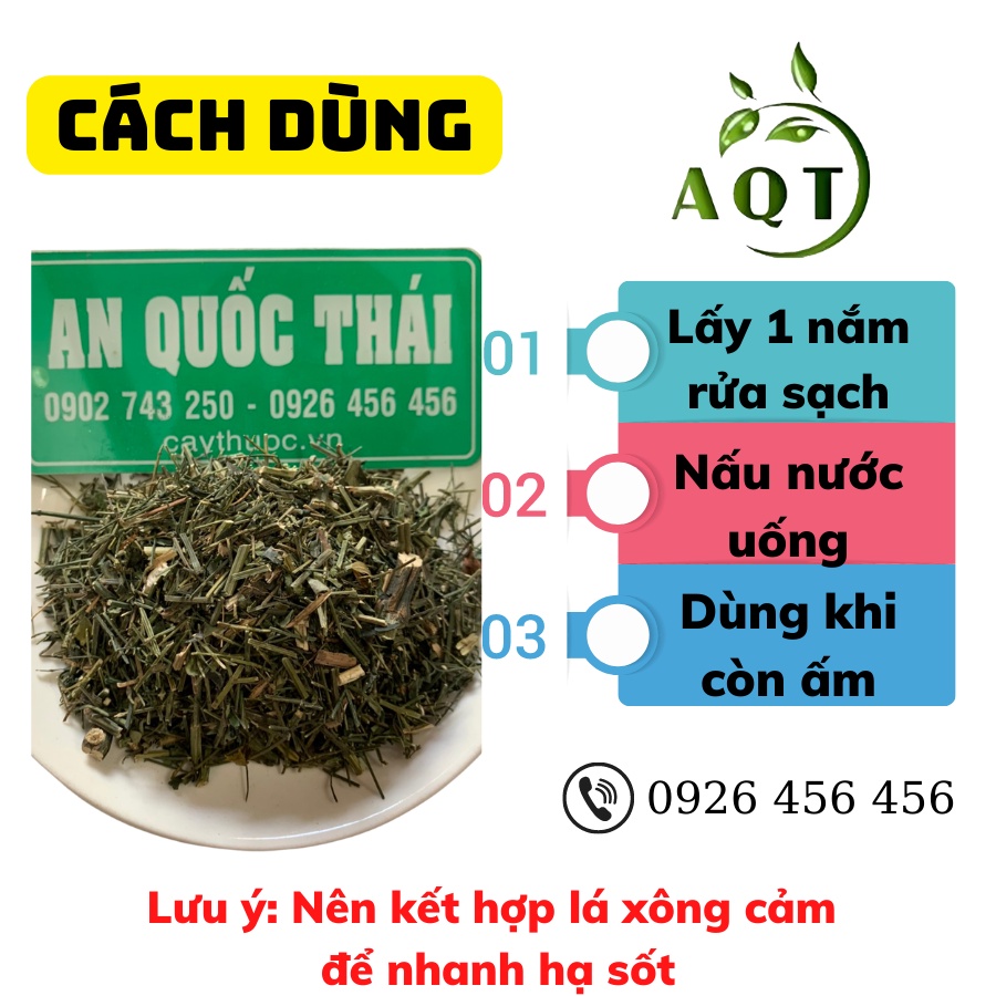 1kg Xuyên Tâm Liên Khô Hạ Sốt, Hỗ Trợ Người Bệnh Phổi, Cây Xuyên Tâm Liên Trừ Ho, Đau Rát Họng