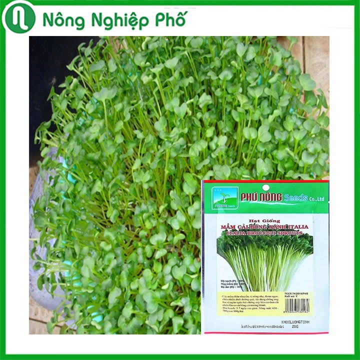 Hạt giống rau mầm cải bông xanh Italia Phú Nông - Gói 20 gram
