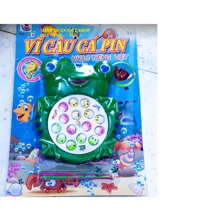 VĨ CÂU CÁ PIN