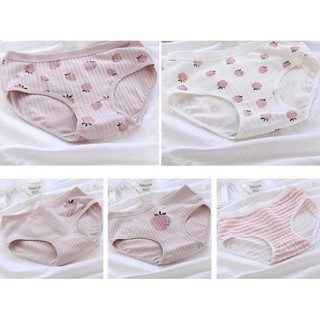 COMBO 10 Quần Lót CUTE DÂU