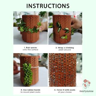 Chậu Gốm Trồng Cây Trong Nhà