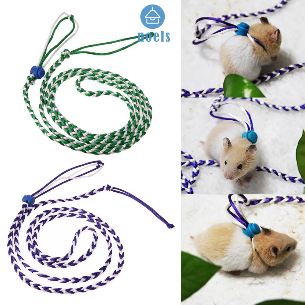 Dây Dẫn Chuột Hamster Đi Dạo