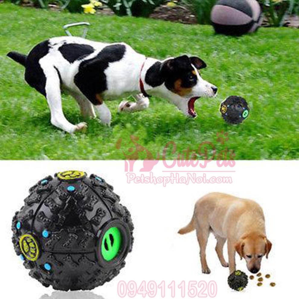 🐕 Bóng đồ chơi vui nhộn dành cho thú cưng - CutePets Phụ kiện chó mèo Pet shop Hà Nội