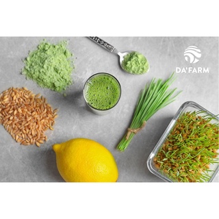 BỘT NƯỚC ÉP CỎ LÚA MÌ HỮU CƠ DA'FARM ( 250gram)