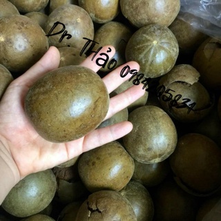 10  quả la hán 8cm