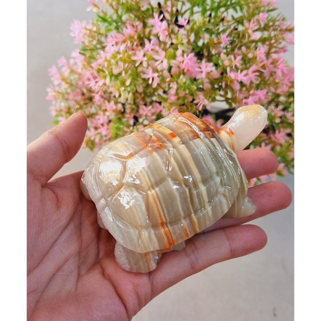 Cụ Rùa ngọc Pakistan bằng đá tự nhiên size 8cm