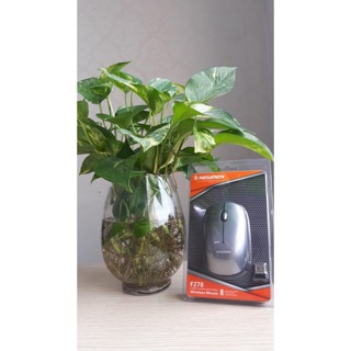 Chuột không dây newmen f278 chính hãng