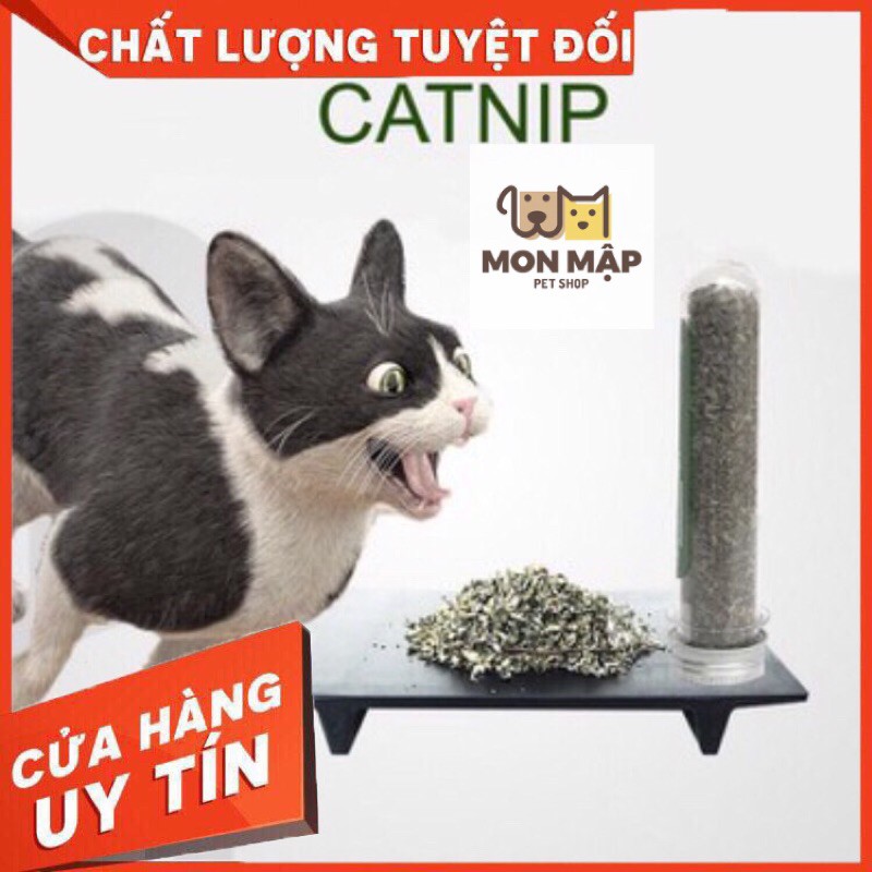 Ống Catip cỏ hít cho mèo