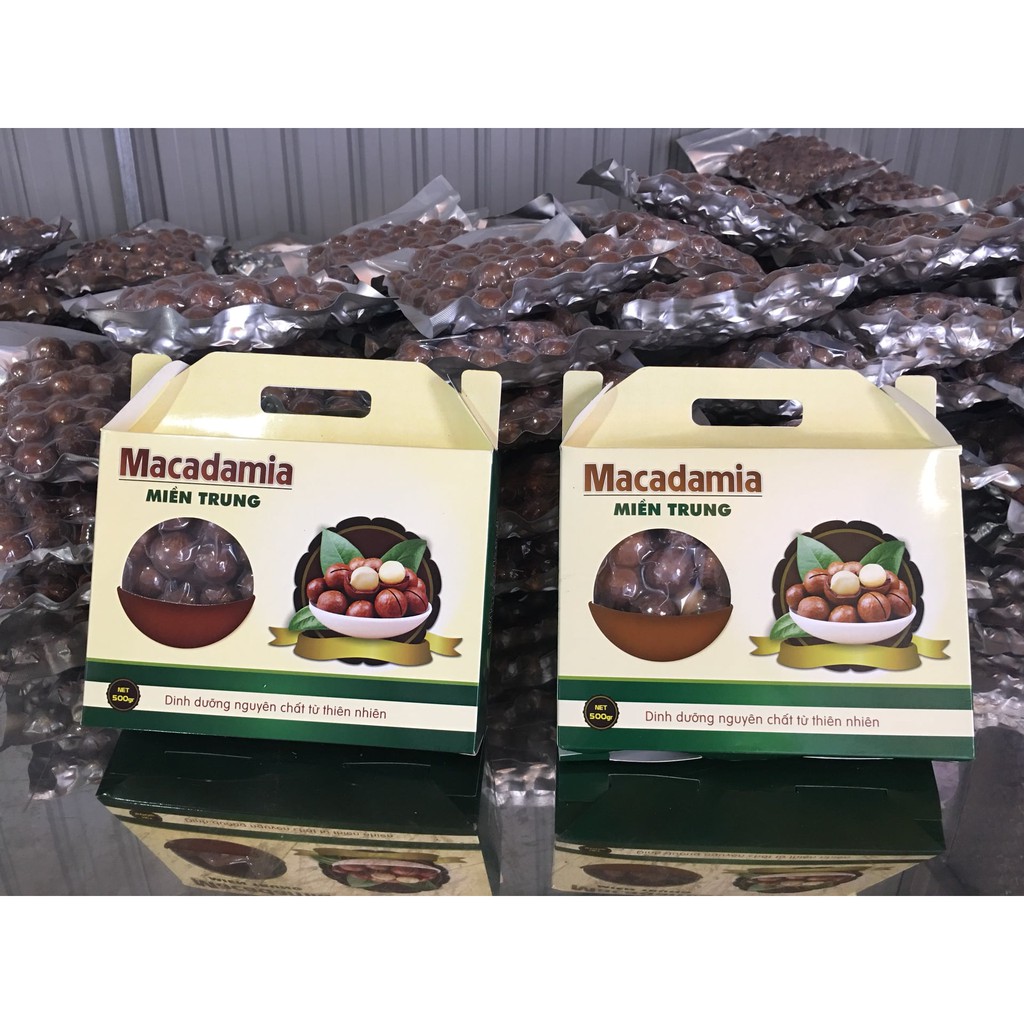 500gr Nhân hạt MACCA (Mắc ca) Loại 1