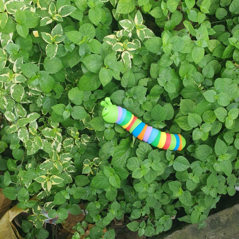 Đồ chơi giải trí trẻ em, người lớn - Con Sên xả stress, Con sâu vui nhộn nhiều màu ngộ nghĩnh, giải stress