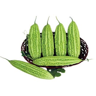 Hạt giống Khổ Qua