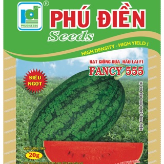 Hạt giống dưa hấu Fancy 555
