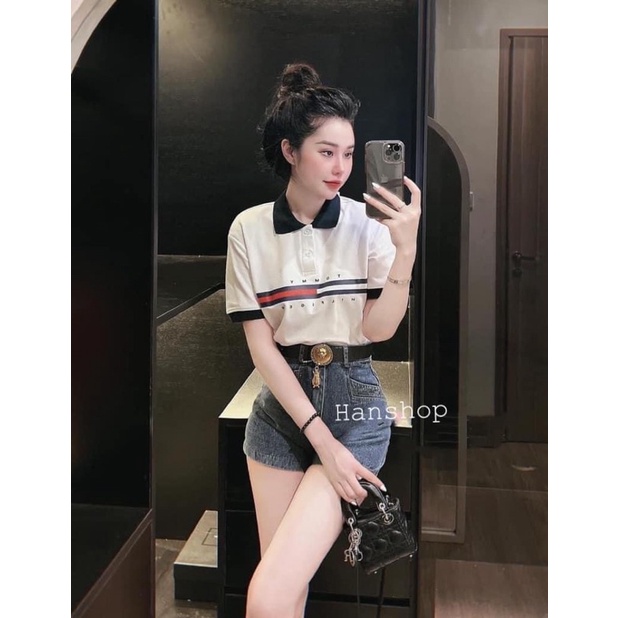 áo thun polo tom myy alohashop91