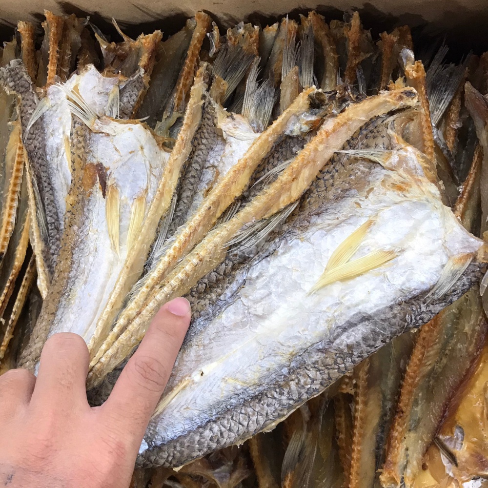 Khô cá mối ngon loại 1 , chất lượng ngon , thịt dai thơm béo phơi nắng tự nhiên không chất bảo quản