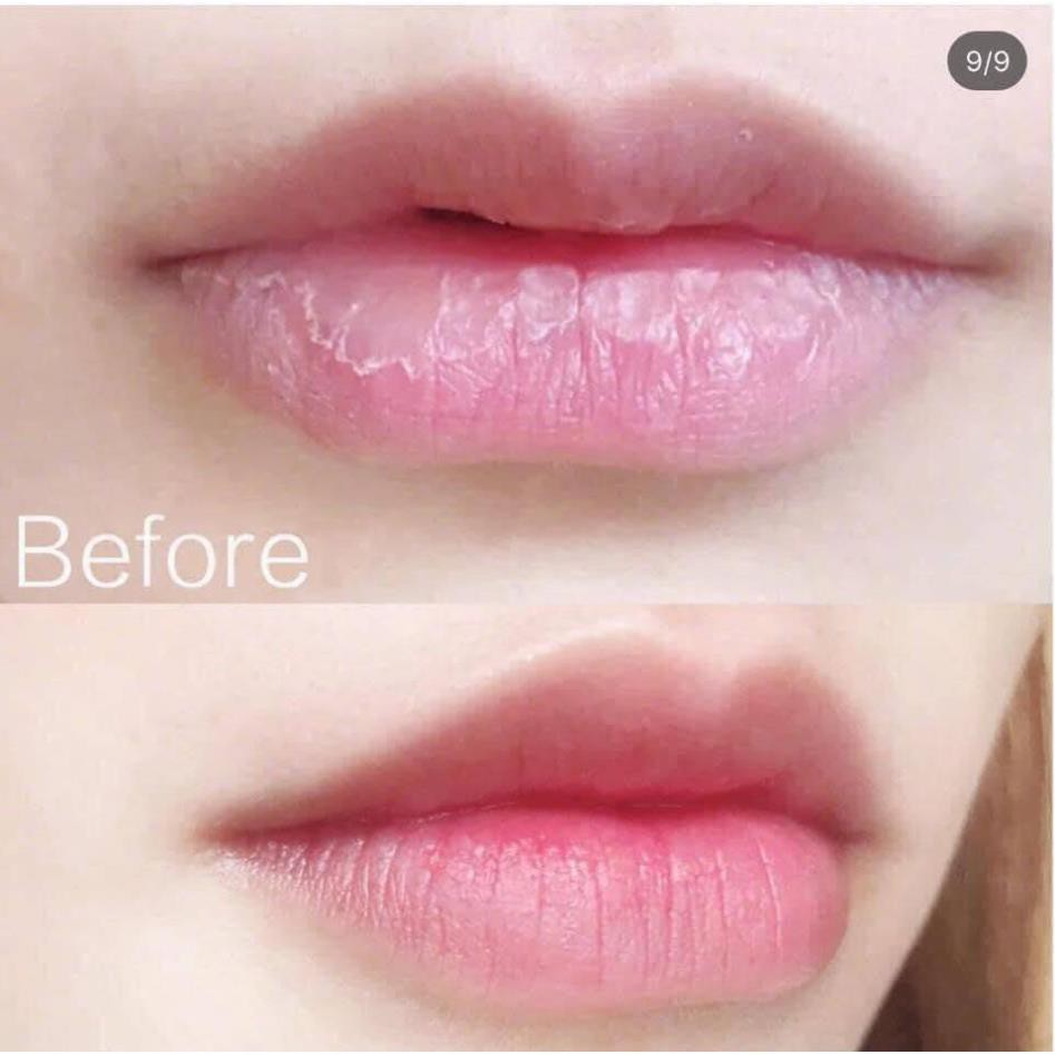 Son Dưỡng Môi DHC Color Lip Cream Giữ Ẩm Có Màu, Không Màu, Hàng Nội Địa Nhật Bản[Freeship]