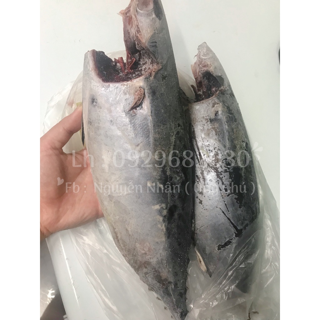 [Giao Hỏa Tốc] Cá ngừ nâu xay nhuyễn ko ruột ko vây  - phù hợp nấu pate tươi - thức ăn cho thú cưng chó mèo - TPHCM