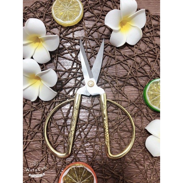 KÉO CÁN RỒNG CẮT SIÊU SẮC SIÊU BỀN