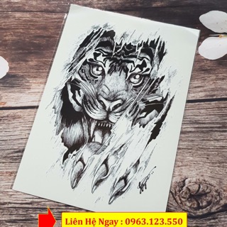 Hình xăm dán hổ -sói