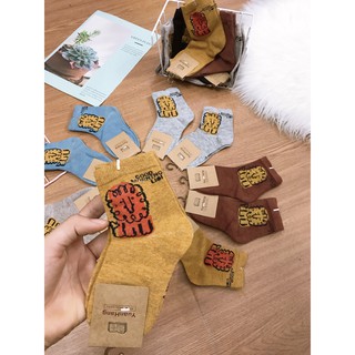 Combo 10 đôi tất sư tử bé