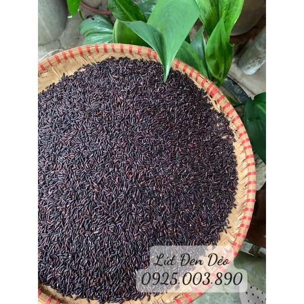 1KG Gạo lứt đen dẻo ĐIỆN BIÊN  Loại 1 - ăn kiêng giảm cân healthy eatclean