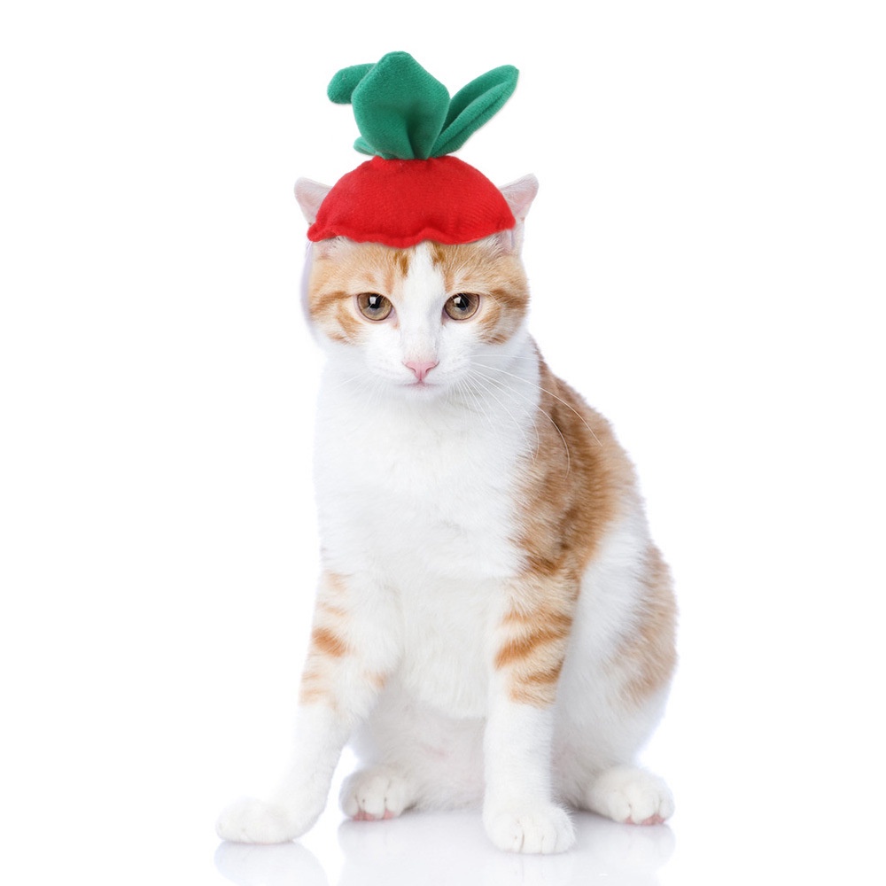Mũ hóa trang dịp Halloween dễ thương để đội cho thú cưng