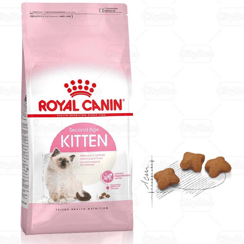 Thức Ăn Cho Mèo Con Hạt Royal Canin Kitten 36 Khối Lượng 10kg