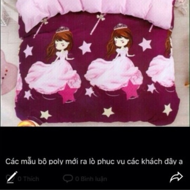 set 3 món ga gối chun cotton poly