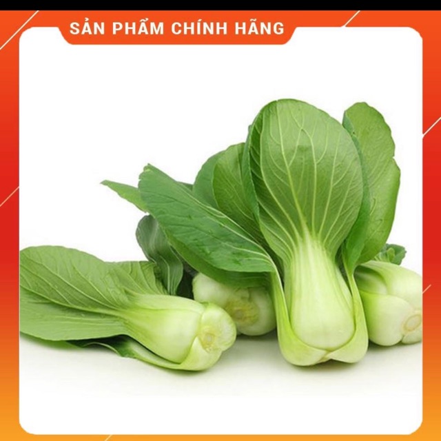 Hạt giống cải chíp