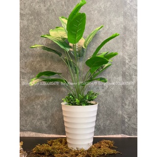 Cây giả - chậu cây chuối giả cảnh cao 80cm decor siêu xinh