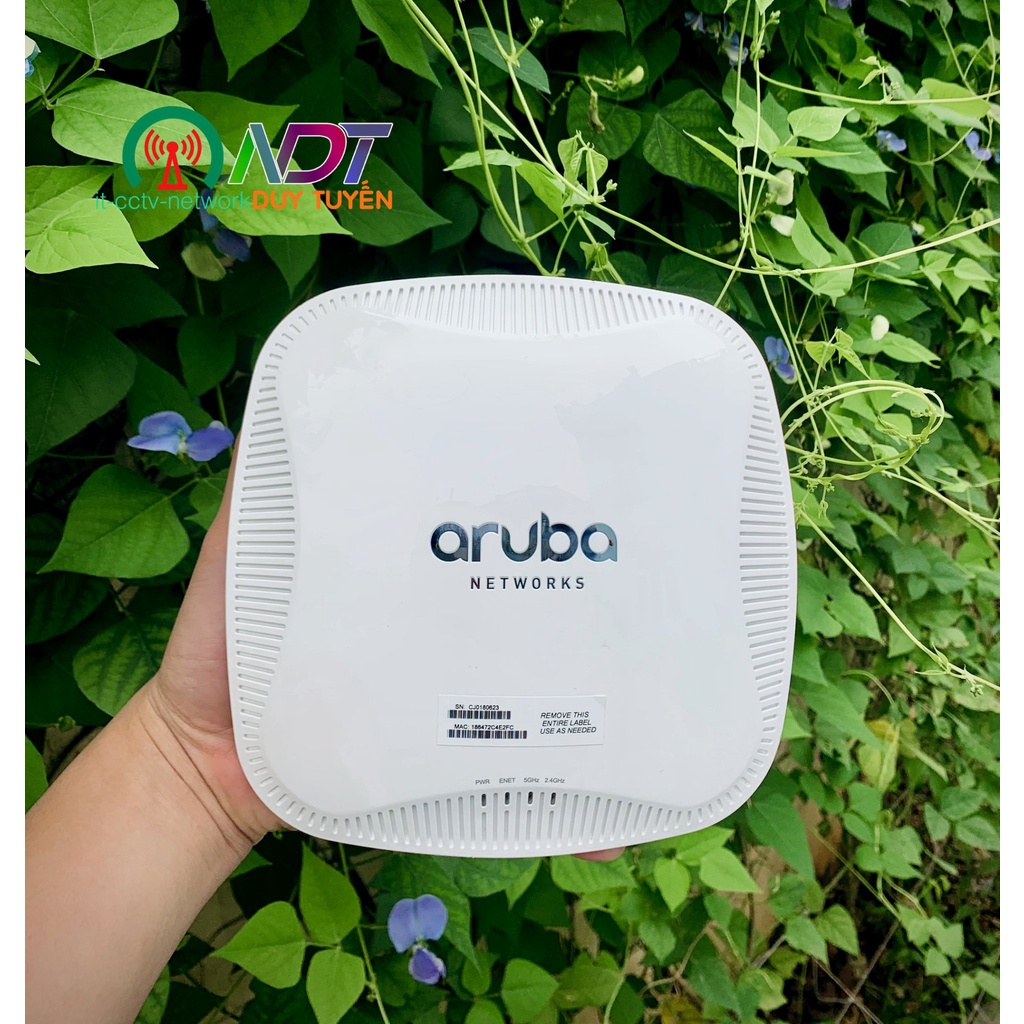 ✅ Aruba 115 - Hàng Đẹp - Bộ Phát Wifi Chuyên Dụng - Roaming - Mesh - ap 115