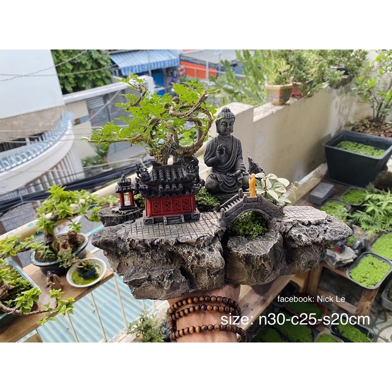 Tượng phật adida giả cổ phối tiểu cảnh,hòn non bộ