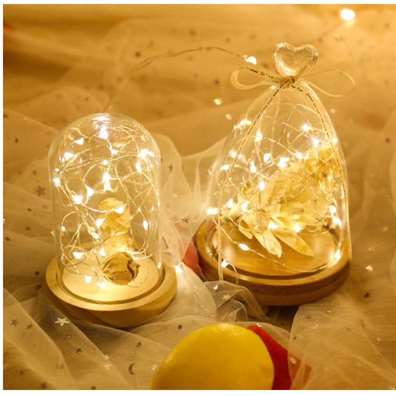 Dây đèn led đom đóm, đèn fairylight