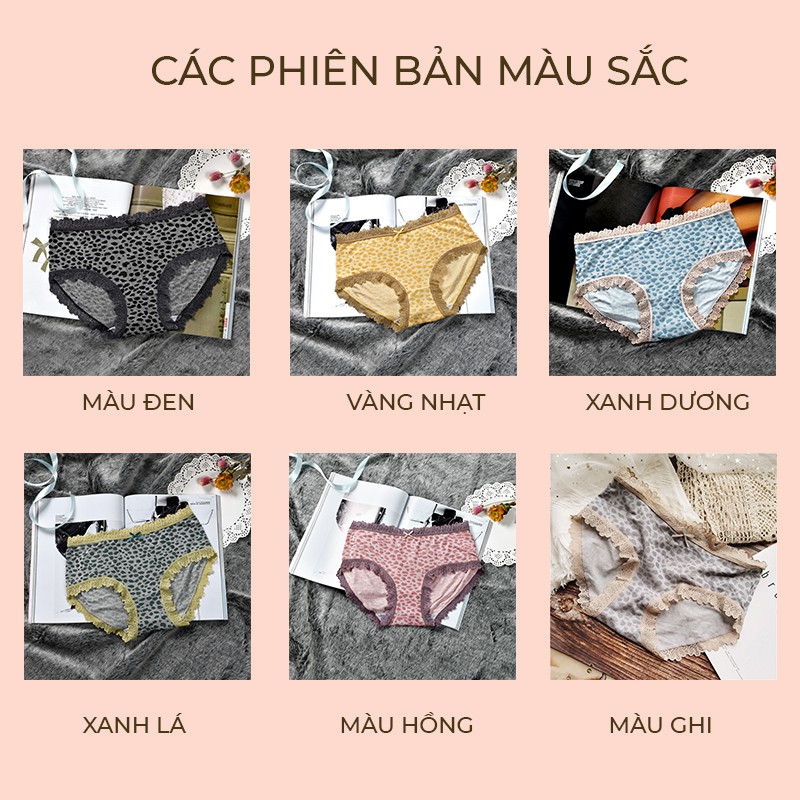 Quần lót cotton báo đen Lyly SP04 | BigBuy360 - bigbuy360.vn