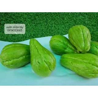 Quả SU SU -1kg ( 3 trái)