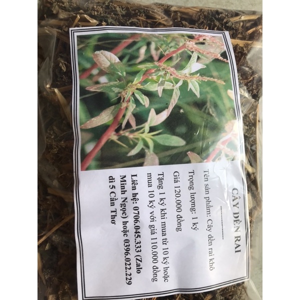 cây dền gai (rau dền gai) phơi khô 1 ký