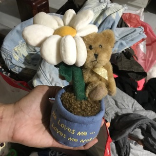 Gấu bông của Tuyet Trinh