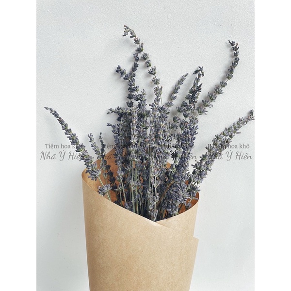 Bó hoa oải hương LAVENDER, Hoa khô trang trí chụp ảnh phong cách Vintage