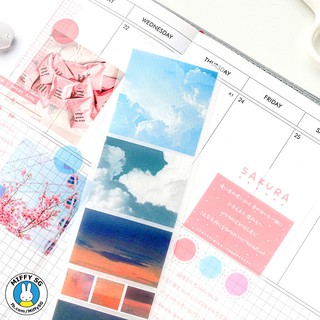 Bộ sticker màu sắc WEEKEND TOURS