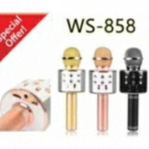 Mic karaoke WS 858 kèm loa