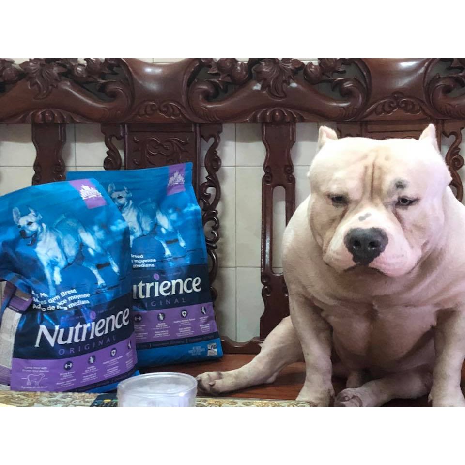 [Nhập Khẩu Canada] Thức Ăn Cho Chó Mặt Xệ Nutrience Original Bao 11,5kg Phát Triển Cơ Bắp Thịt Cừu, Rau Củ, Trái Cây