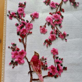 Hoa mai bộ 01