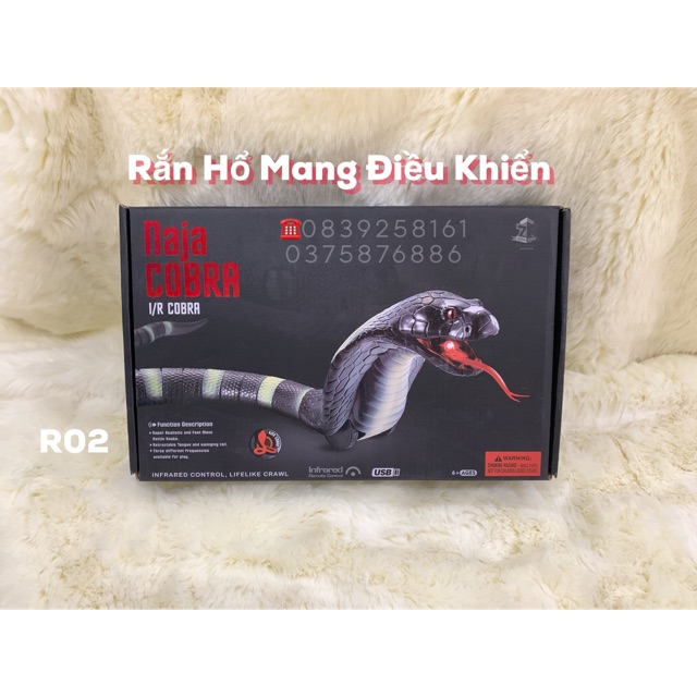 Rắn Hổ Mang điều khiển NAJA COBRA