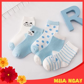 Combo 5 đôi tất trẻ em hàng Quảng Châu cao cấp cho bé từ 0 - 6 tuổi