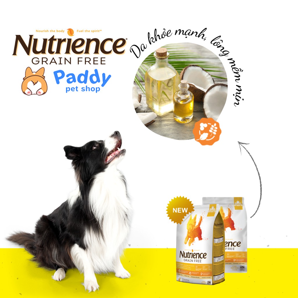 Hạt Nutrience Grain Free Cho Chó Mọi Lứa Tuổi - Gà Tây &amp; Rau Củ Quả