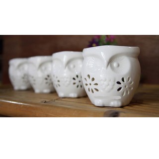 ĐÈN ĐỐT NẾN TINH DẦU HÌNH CÚ MÈO.